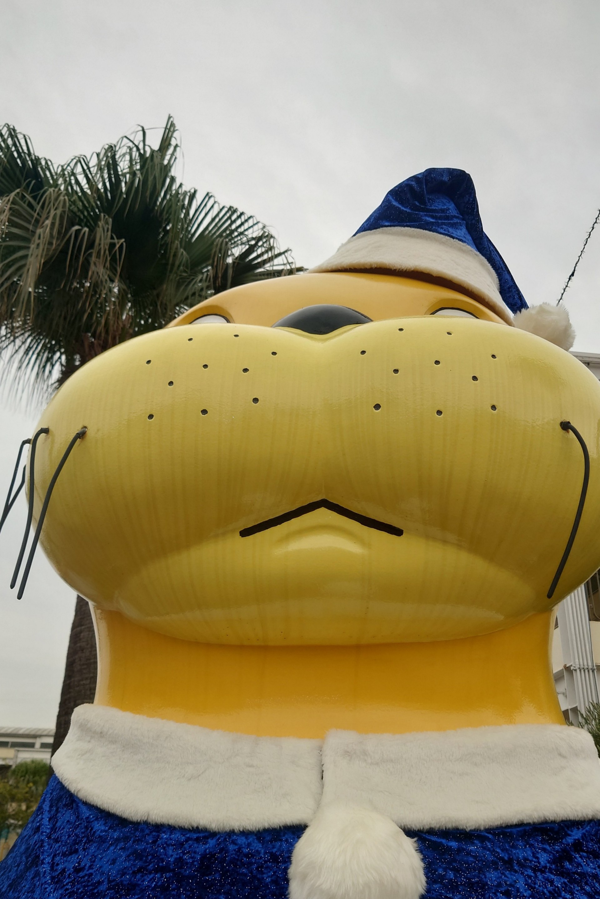 な◯きマンテティシャン2025