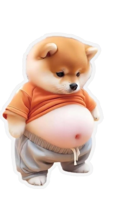 ☁ToMoﾎﾟｮ 🌱🐟𓅿⑅⋆⁰¹¹