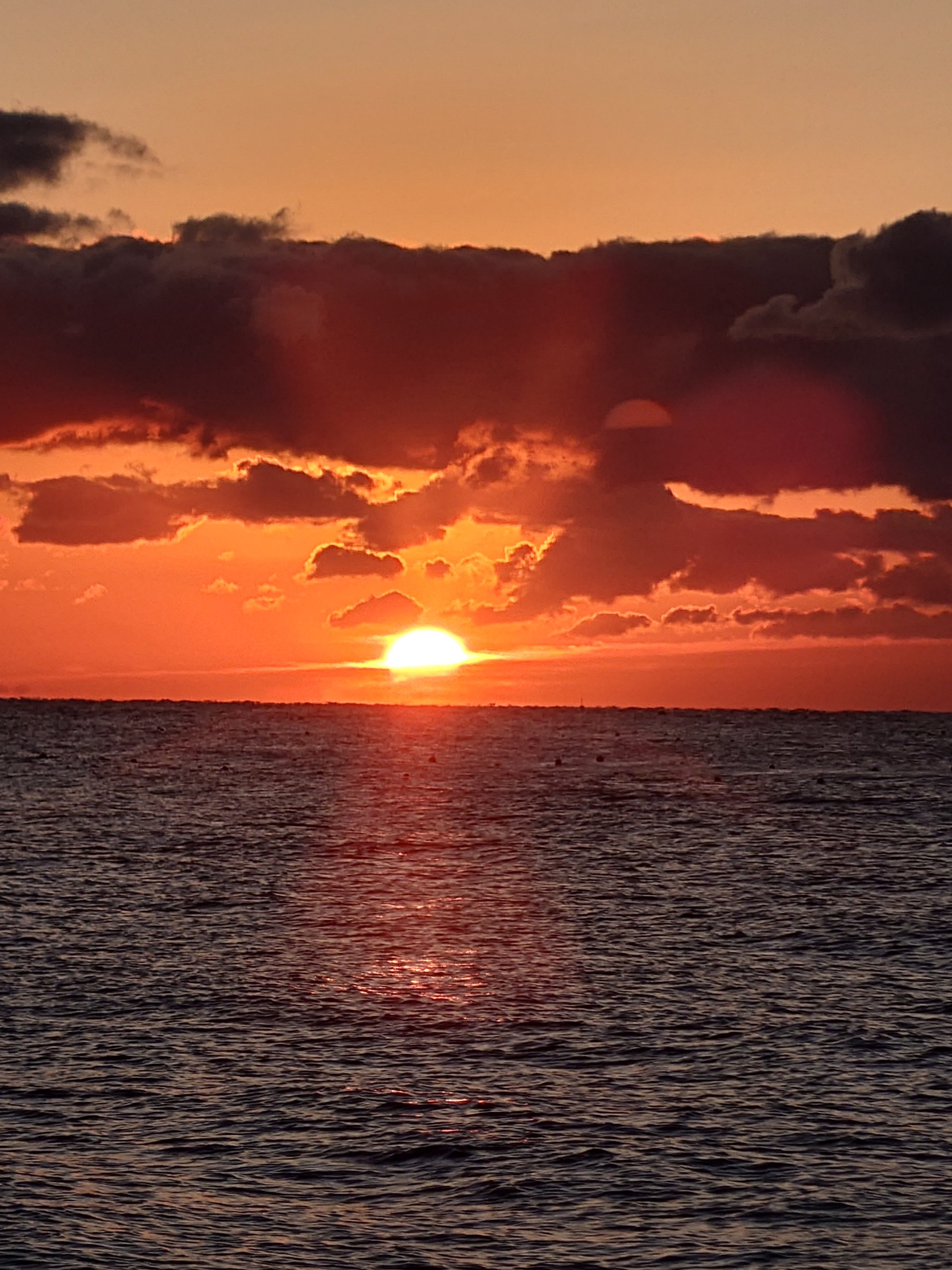 😏ぱら🔮🧨‪‪🐌🐈‍⬛🌙🪽