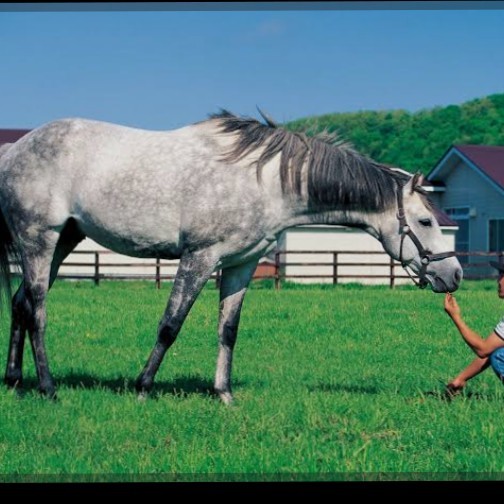 🥀*☆千春🌹*。
