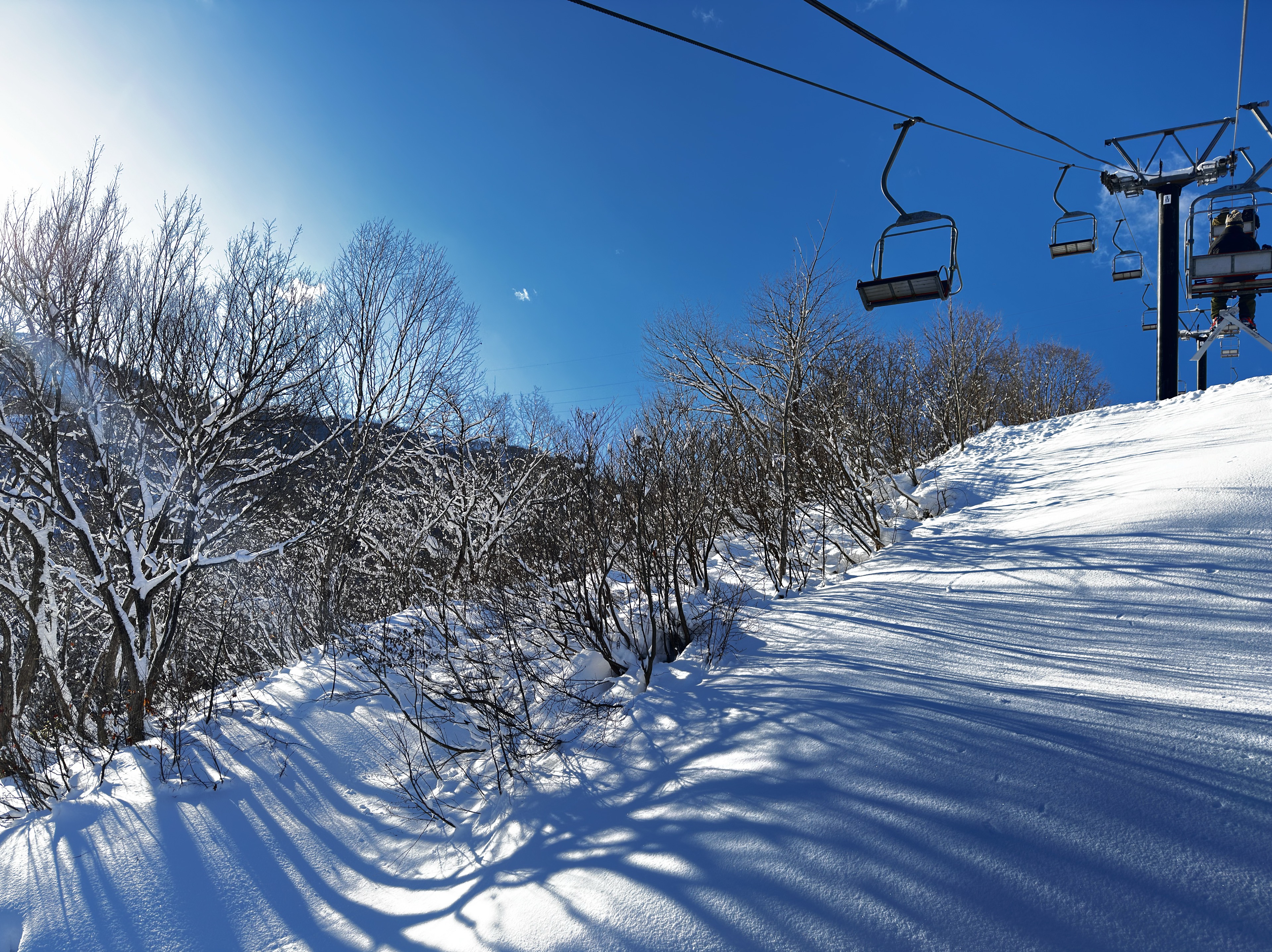 空色の風船 -𝐖𝐢𝐧𝐠-